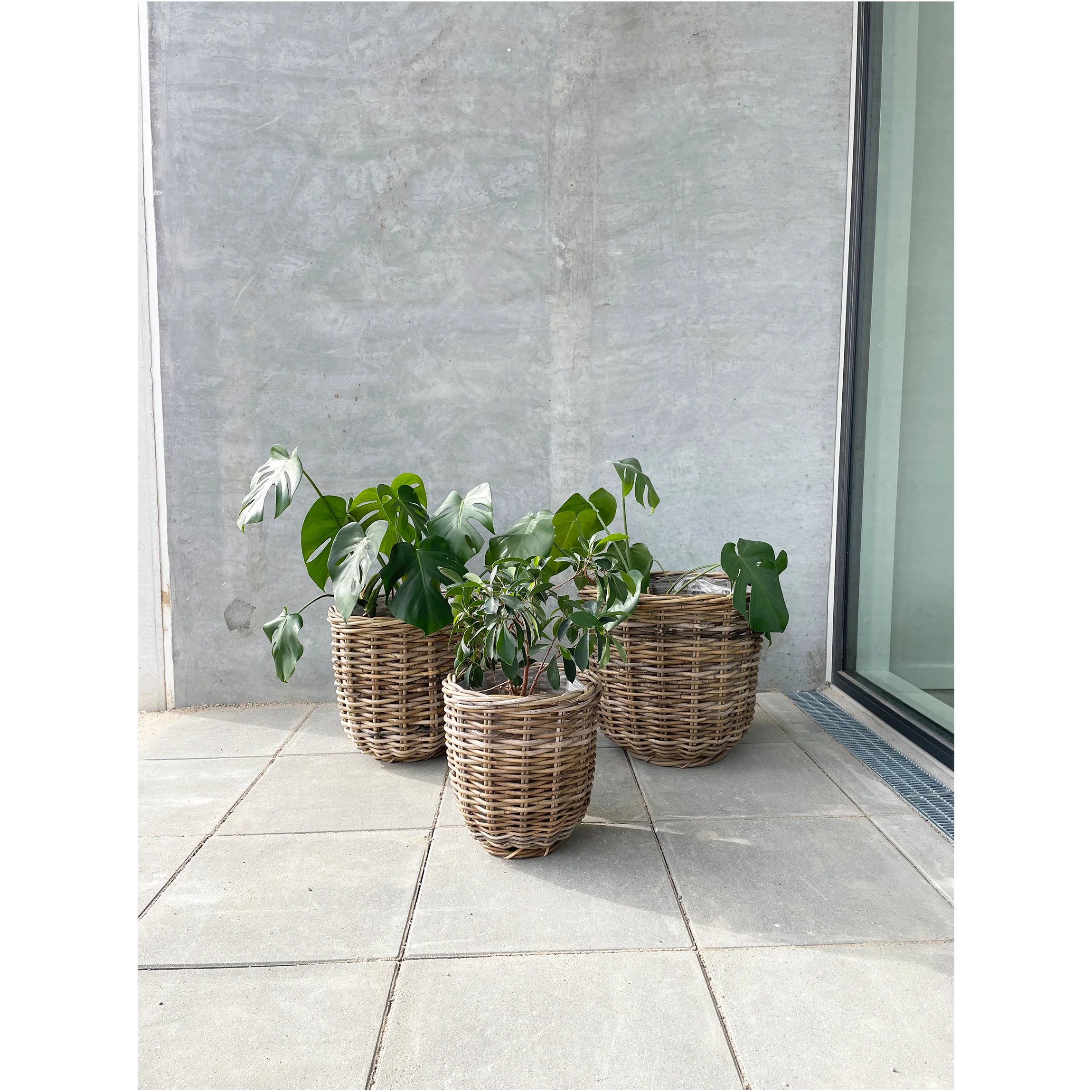 Lilli - Paniers ronds en osier - Lot de 3 pièces - Image 3