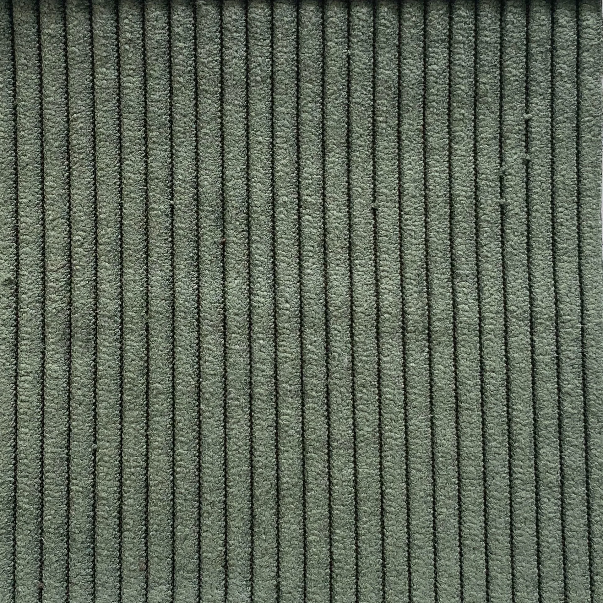 Marco - Échantillon de tissu en velours vert